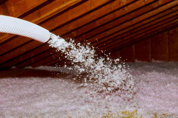 Professional Insulation Contractor in South Monroe, MI