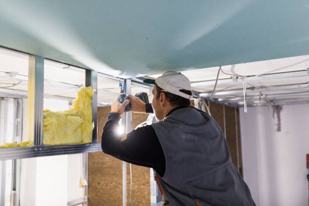 Best Blown-in Insulation in South Monroe, MI