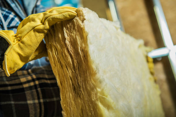 Best DIY Insulation Kits and Guidance in South Monroe, MI