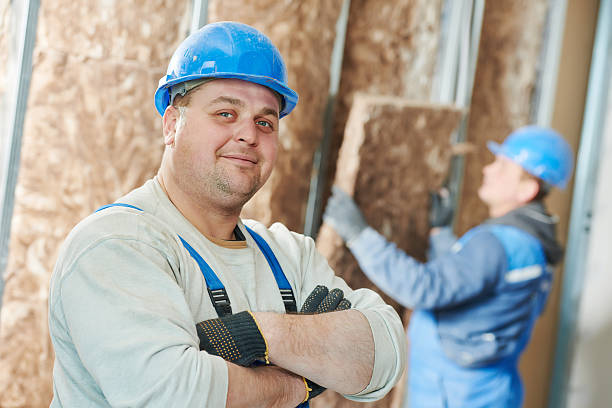 Best Commercial Insulation in South Monroe, MI