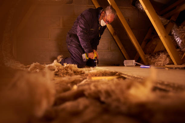 Best Insulation Maintenance and Repair in South Monroe, MI